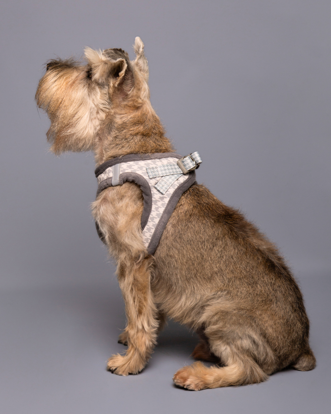 Arnés body COZY CLASSIC