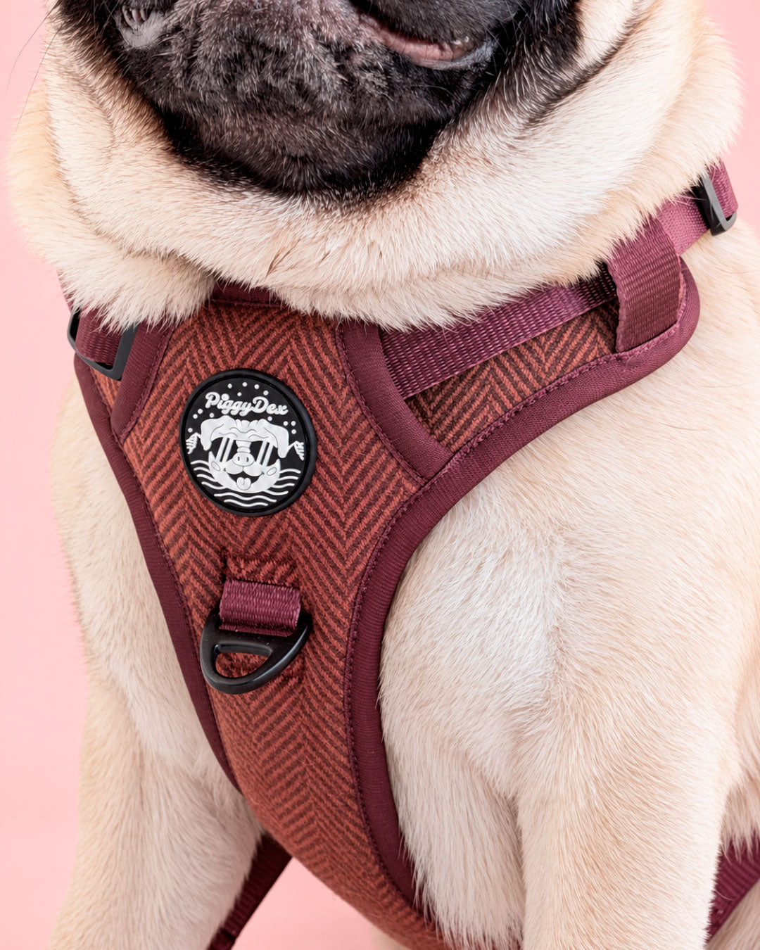 Comfort Trail harness TWEED
