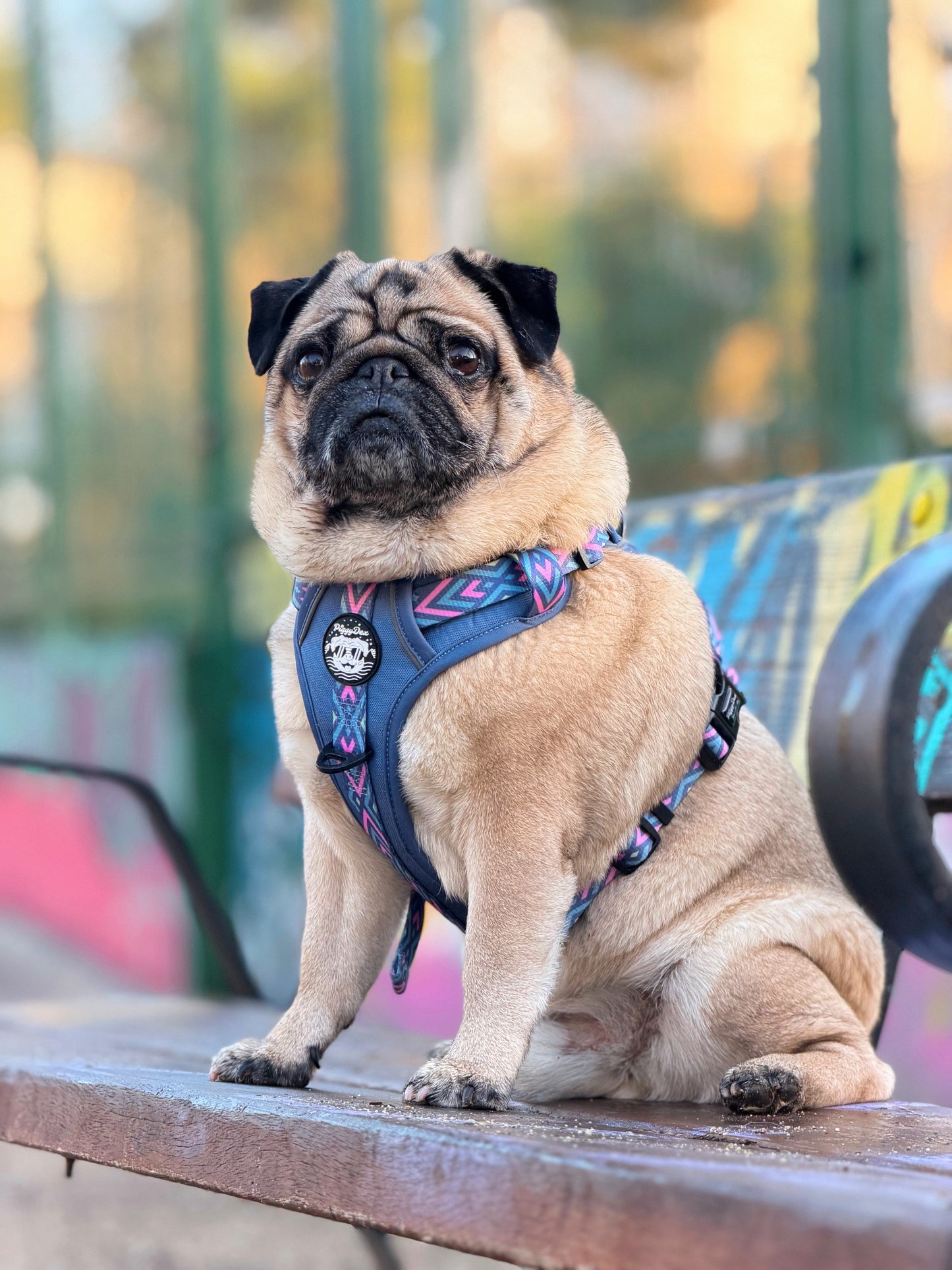 Comfort Trail harness MONKEYS