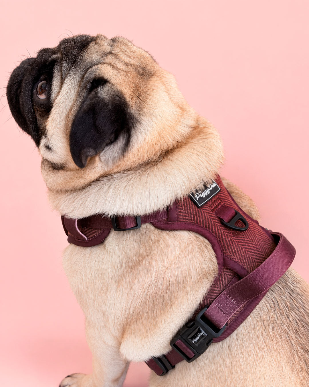 Comfort Trail harness TWEED