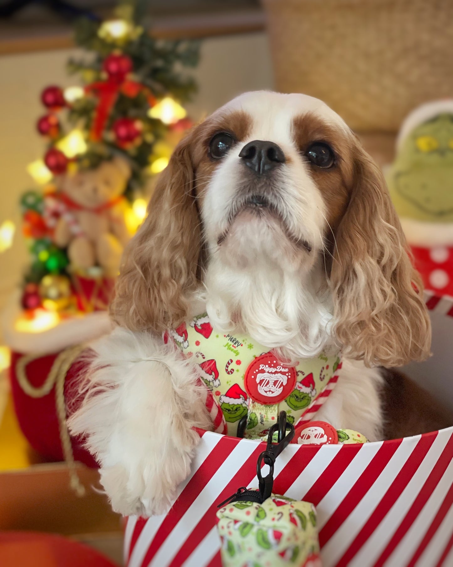 Pack Navidad - Edición Especial MERRY BUT MOODY