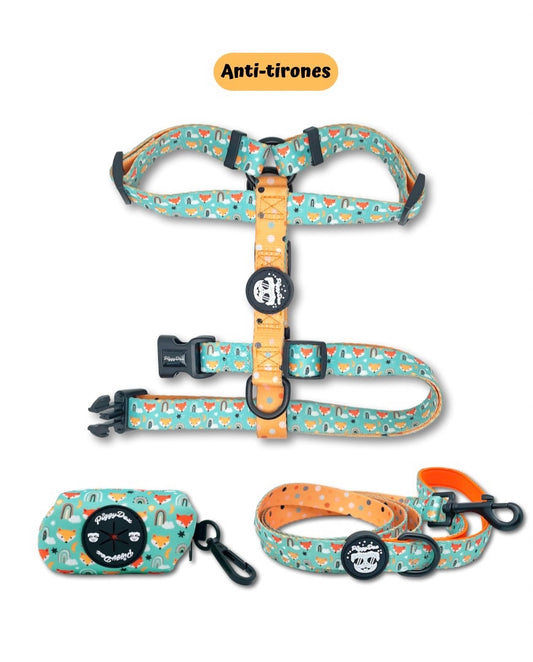 Pack H harness + leash + poopbag holder FOX&RAINBOWS