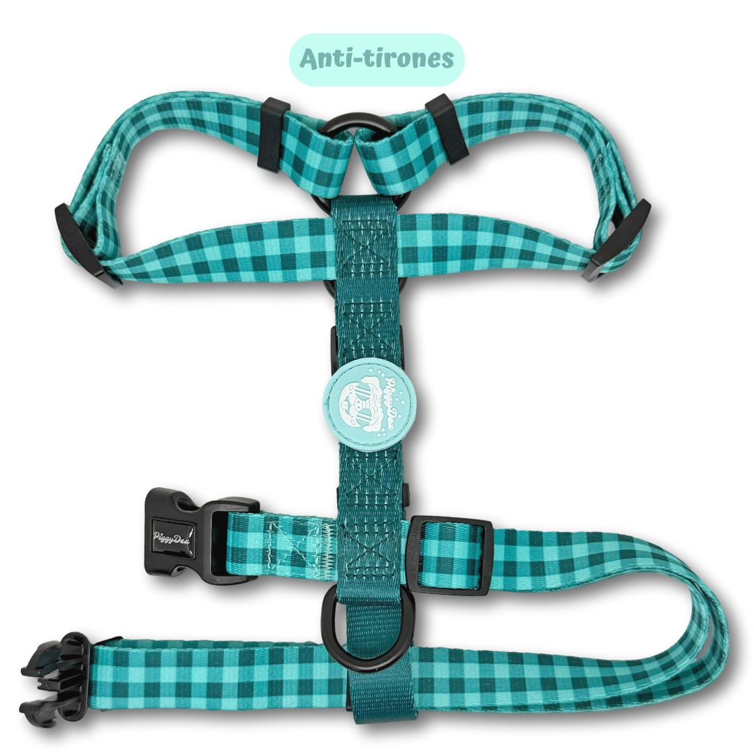 Arnés clásico VICHY AQUA