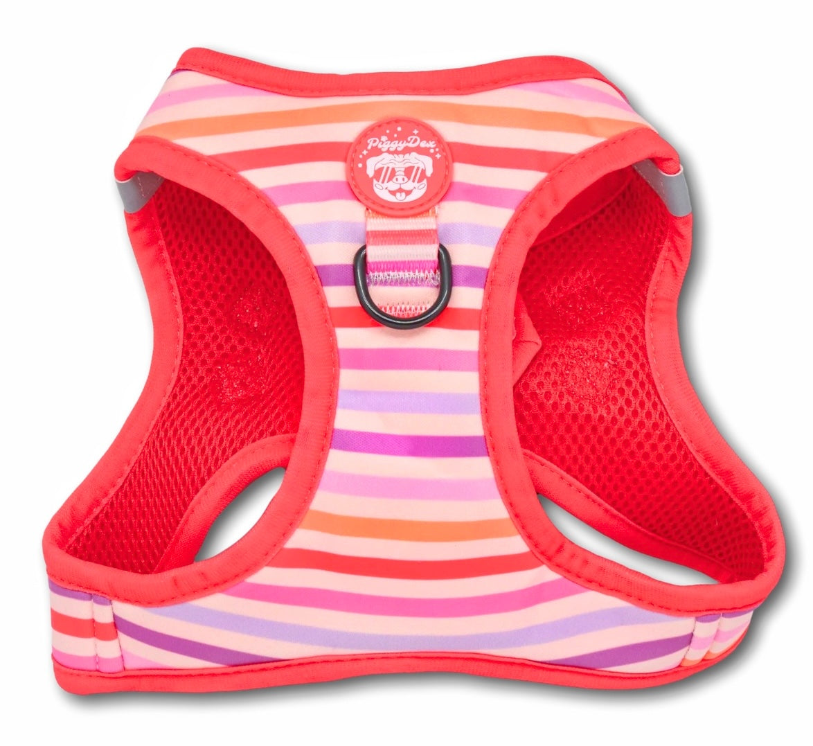 Step-in harness VICHY CONFETTI
