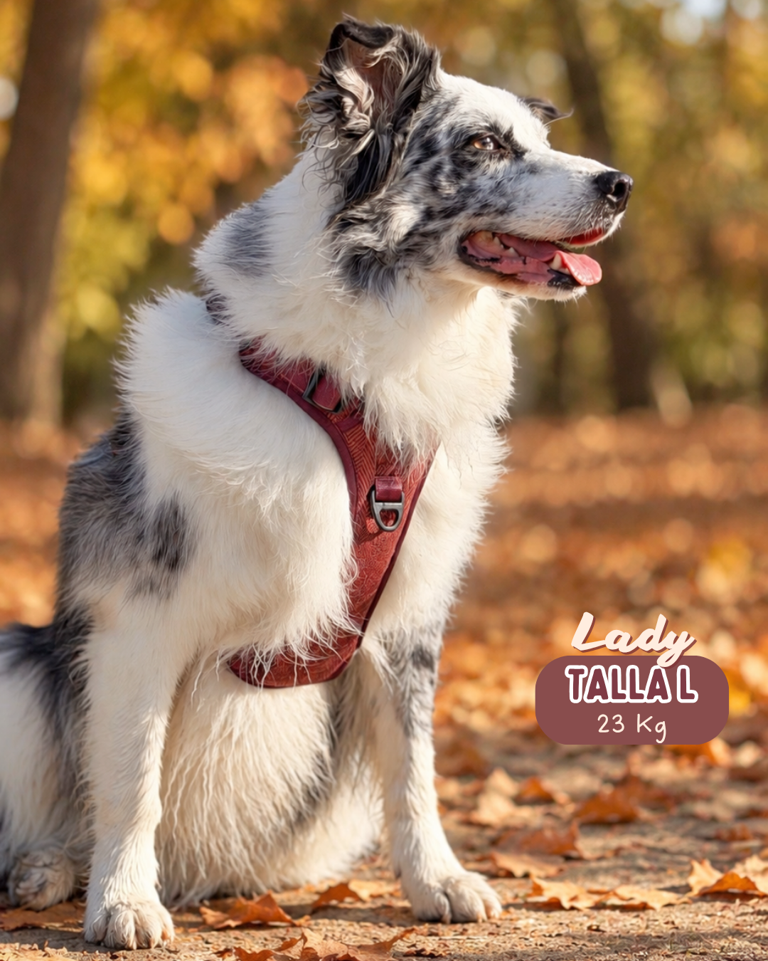 Comfort Trail harness TWEED