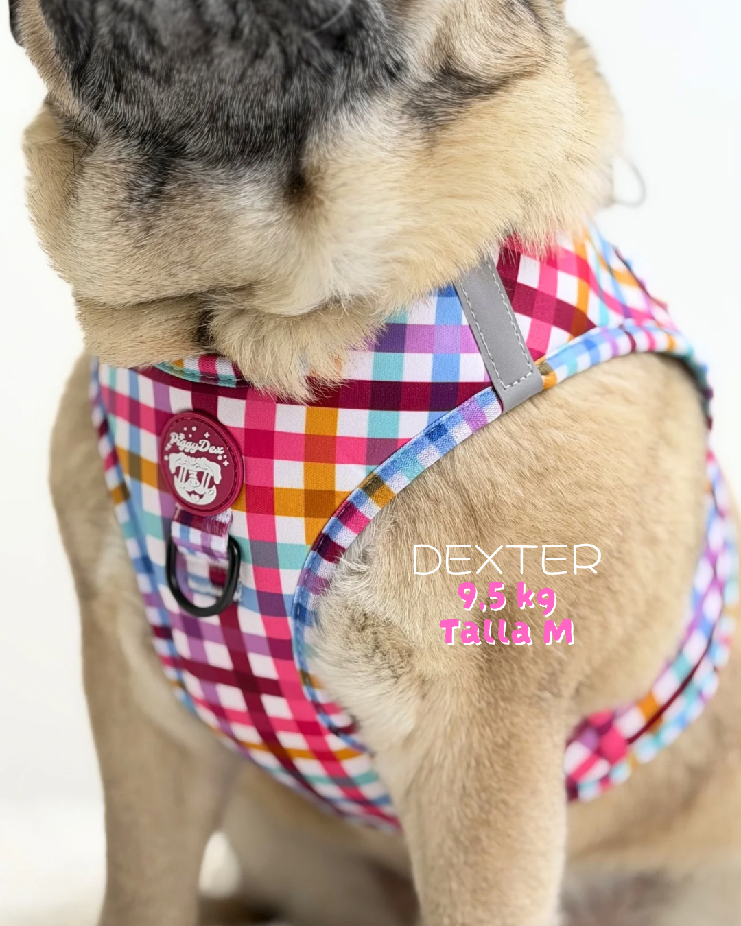 Step-in harness VICHY CONFETTI