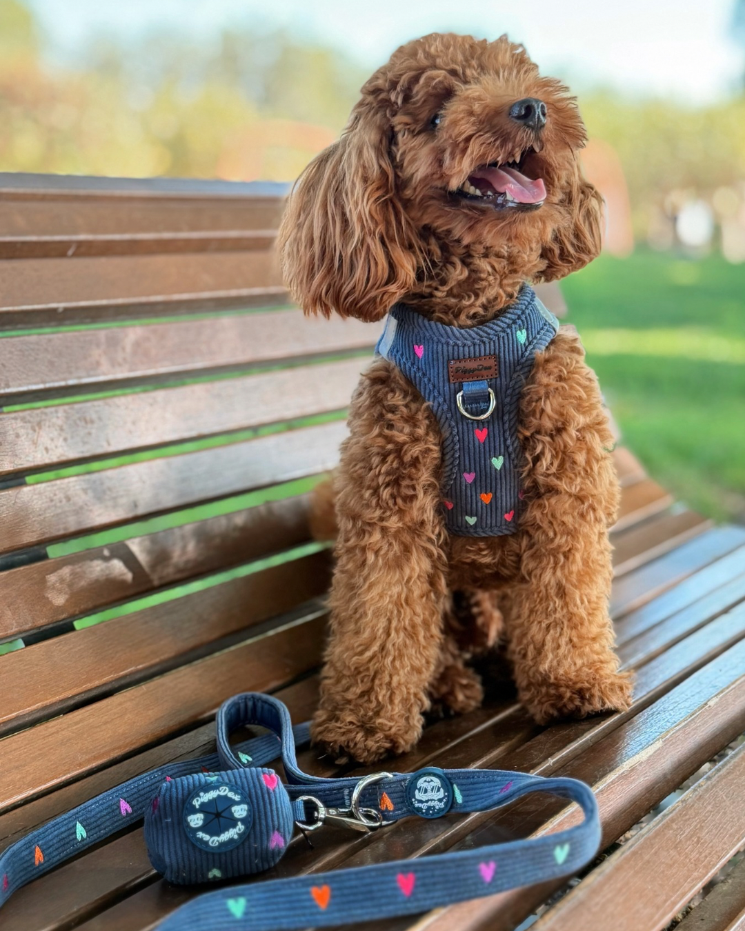 Step-in harness + leash + poopbag holder PANA LOVE
