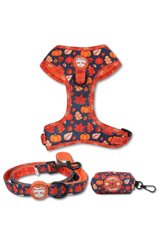 Pack harness + leash + poopbag holder PUMPKIN PATCH