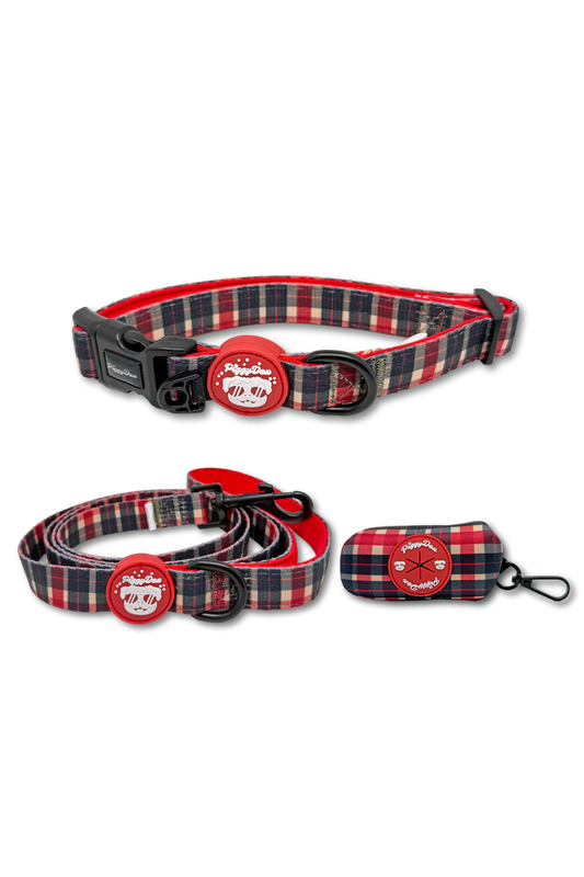 Pack collar + correa + portabolsas OXFORD