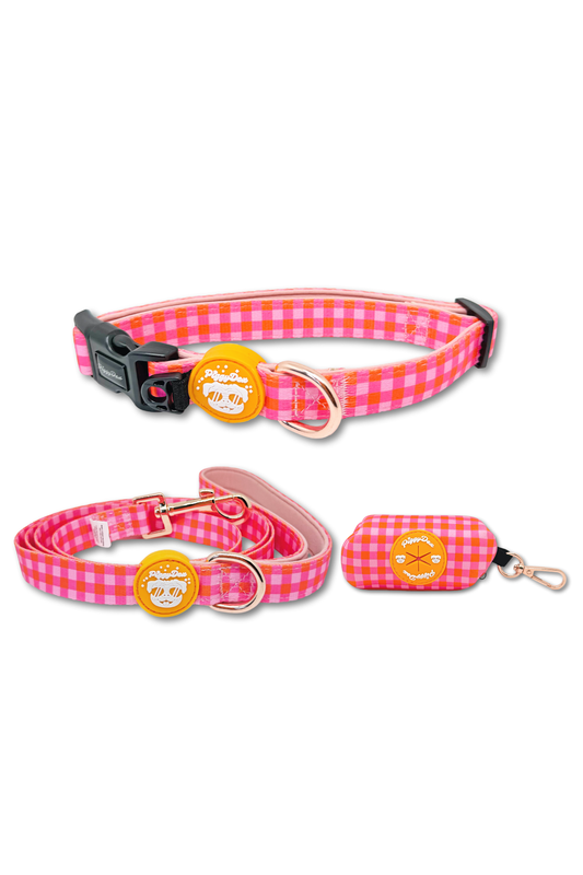 Pack collar + correa + portabolsas VICHY PEACH