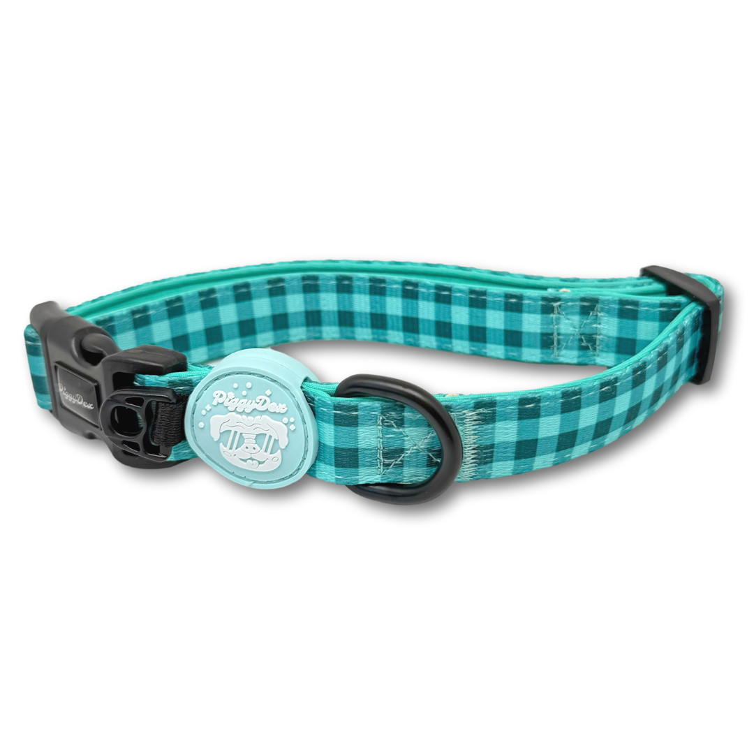 Collar VICHY AQUA