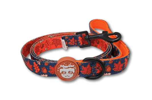 Leash DPUMPKIN PATCH
