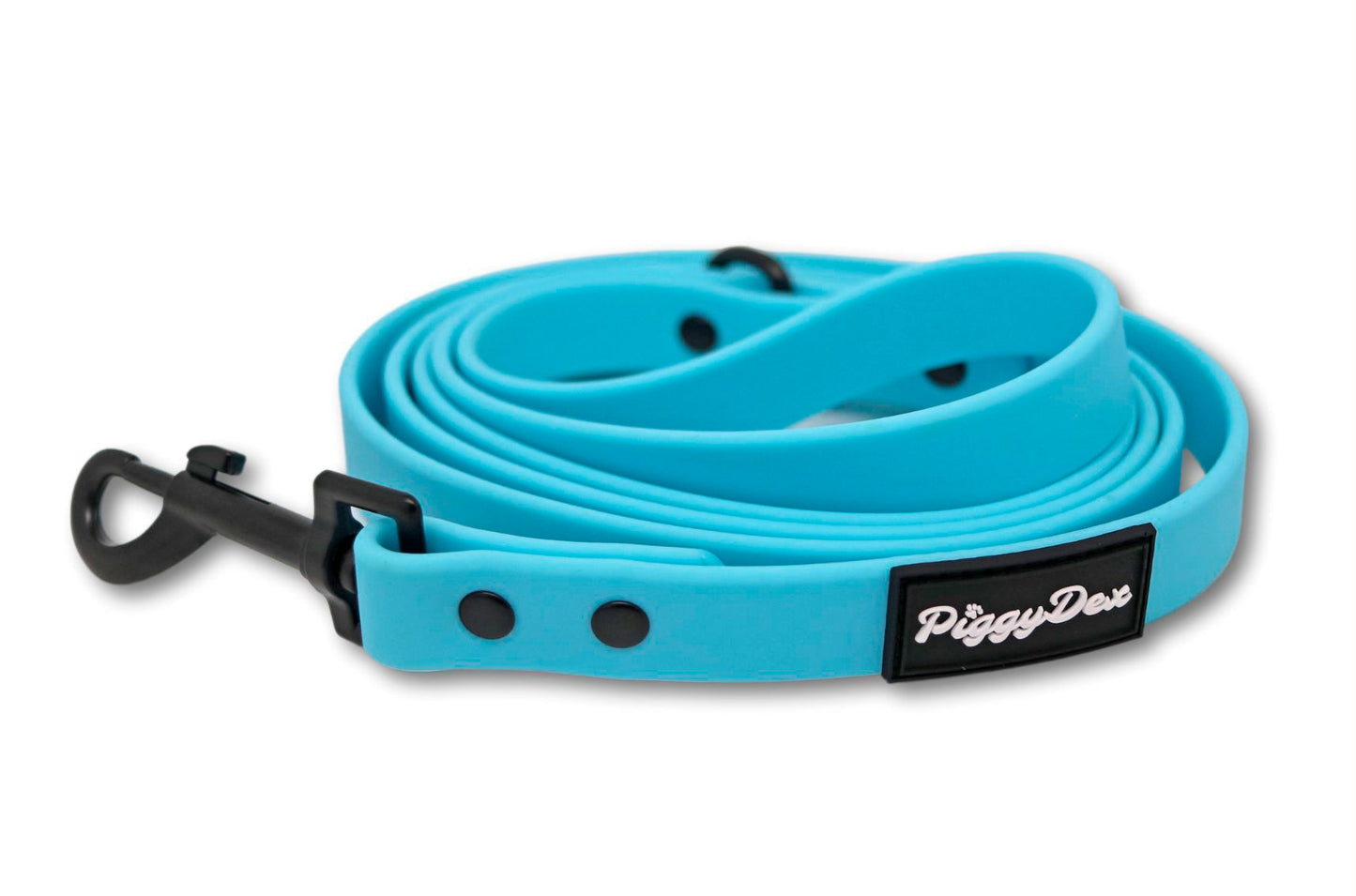 Waterproof Leash Blue