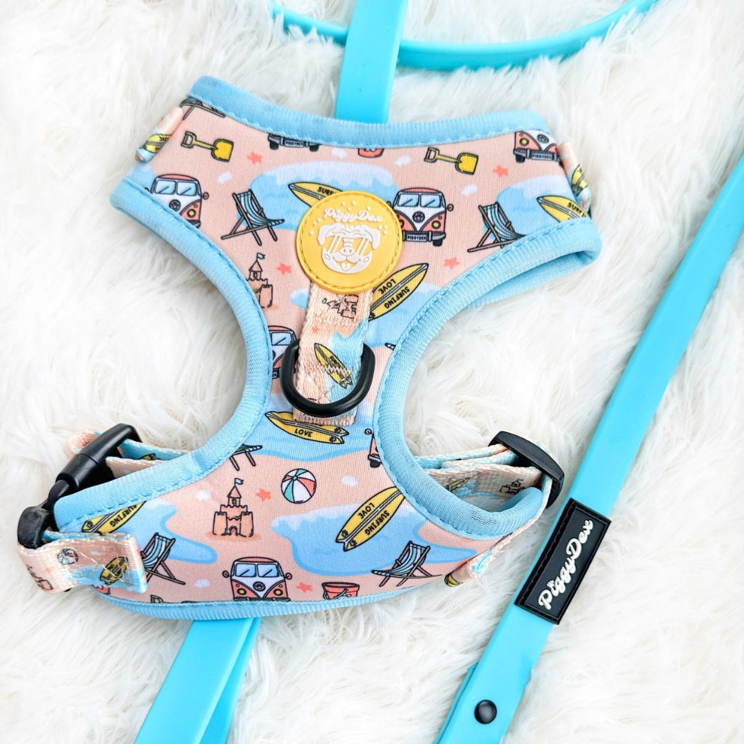 Waterproof Leash Blue