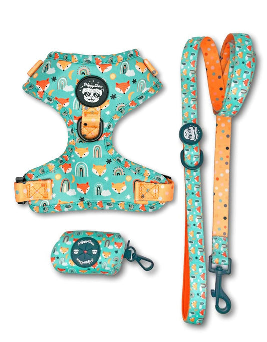 Pack harness + leash + poopbag holder FOX & RAINBOWS
