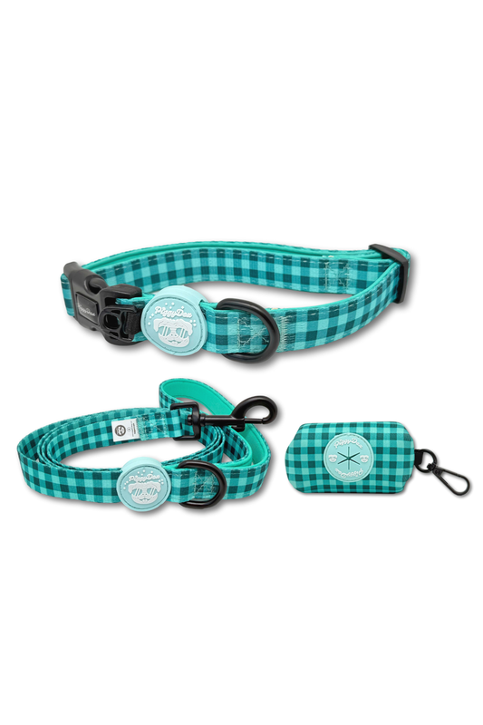 Pack collar + correa + portabolsas VICHY AQUA
