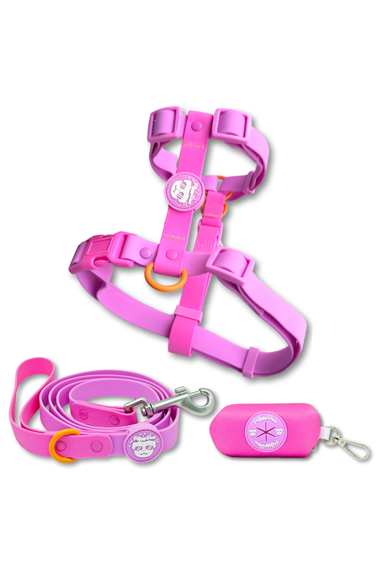 Pack arnés Waterproof + correa + portabolsas ROSA LILAC
