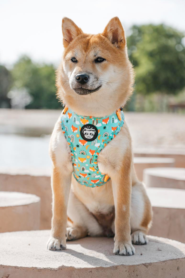 Arnés ajustable para perro diseño Shiba Inu