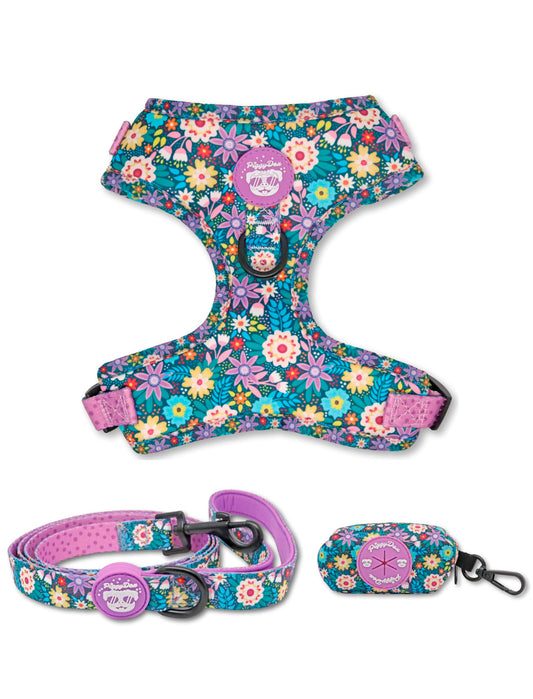 Pack Harness + leash + poopbag holder FLOWER FLOW